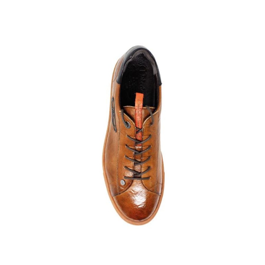 Man Maledetti Toscani Leather Men'S Shoes Maledetti Toscani | Leather Sneakers "Jesse Owens" Bicolore